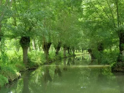 Paysage naturel près de le camping