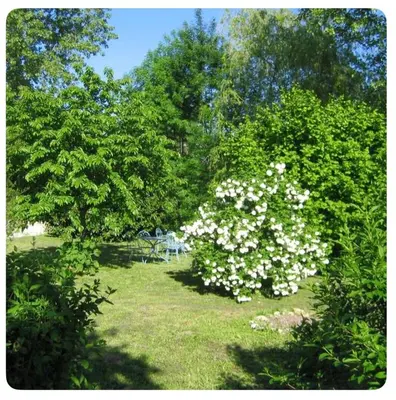 Jardin de l'établissement Maison SAINT AMANT DE BOIXE