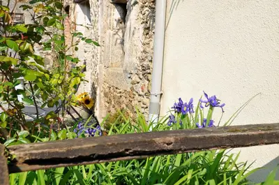 Jardin de l'établissement Les Glycines Gîtes - Les Petites Pierres gîte