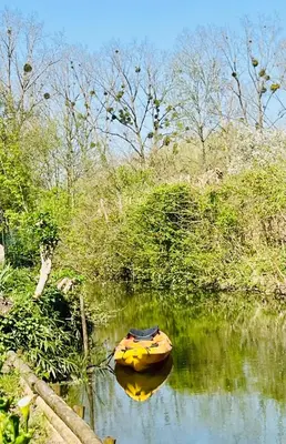Plan de l'établissement Havre de paix au bord de l'eau avec piscine