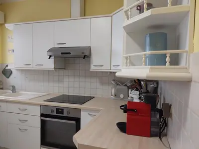 Cuisine ou kitchenette dans l'établissement La Palmeraie Saintaise