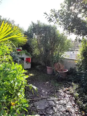 Jardin de l'établissement La Palmeraie Saintaise