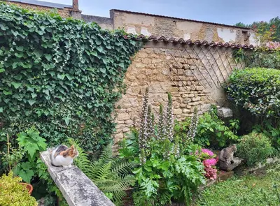Jardin de l'établissement Une nuit à la Clouère