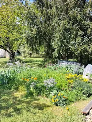 Jardin de l'établissement A l'orée des champs, 3 étoiles, climatisé, lit king-size, piscine d'été
