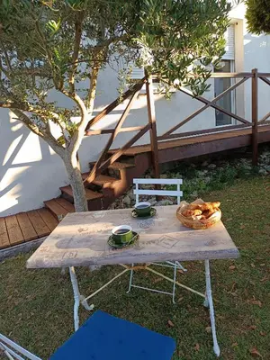 Jardin de l'établissement Studio Sérénité Marine