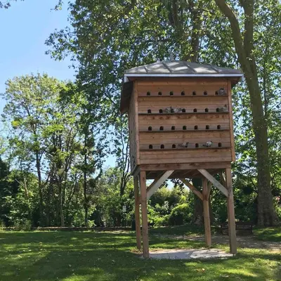 Jardin de l'établissement chambre spacieuse dans maison de ville avec jardin
