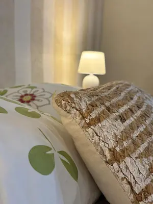Un ou plusieurs lits dans un hébergement de l'établissement chambre spacieuse dans maison de ville avec jardin