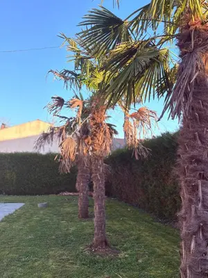 Jardin de l'établissement Havre de paix, bord de rivière, avec piscine