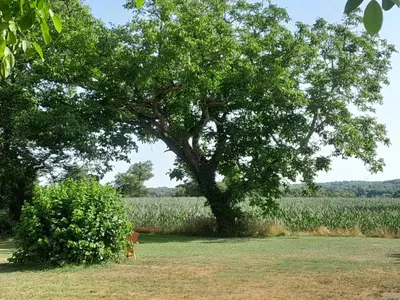 Paysage naturel près de la maison de vacances
