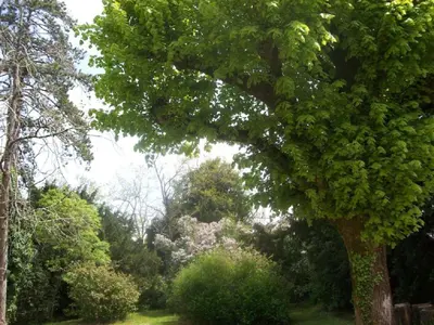 Jardin de l'établissement Château Fontclaire