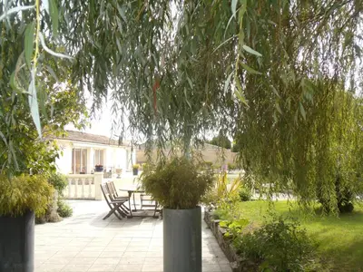 Jardin de l'établissement Le Clos des Palmiers