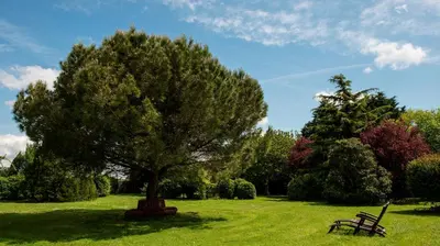Jardin de l'établissement Château de l'Abbaye - Teritoria