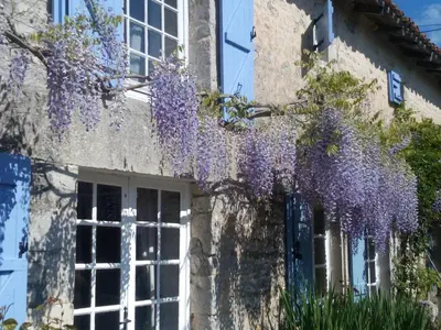 Jardin de l'établissement Chat Noir Gite et Chambre D'Hotes
