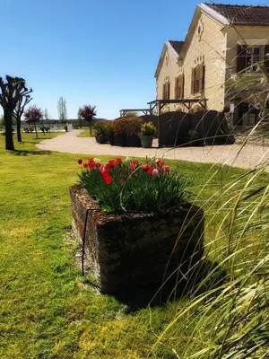 Jardin de l'établissement Gites de Cognac