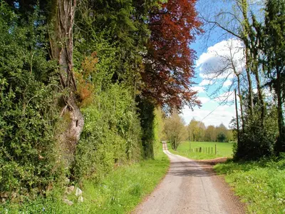 Paysage naturel près de la maison de vacances