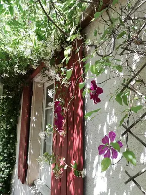 Jardin de l'établissement Les Chambres De La Loge