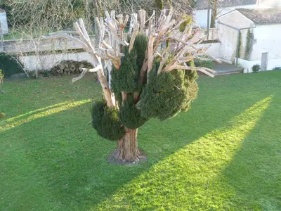 Jardin de l'établissement Logis de L'Arceau