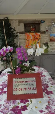 Plan de l'établissement Chambre d'Hôtes Les Orchidées FUTUROSCOPE CHASSENEUIL POITIERS