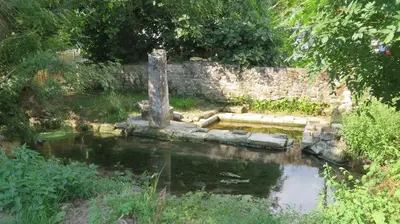 Paysage naturel près de le B&B/chambre d'hôtes
