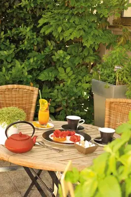 Jardin de l'établissement Logis hotels Les Glycines