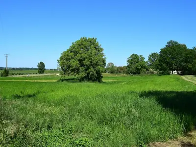 Paysage naturel près de la maison de vacances