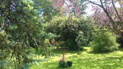 Jardin de l'établissement Les Roses Trémières