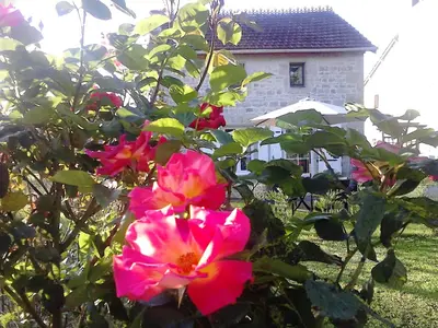 Jardin de l'établissement Les Roses Trémières