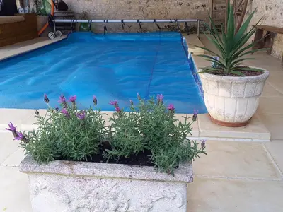 Piscine de l'établissement La charentaise ch d'hôtes ,Studio ou située à proximité
