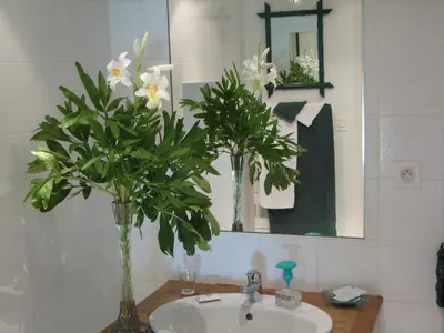 Salle de bains dans l'établissement Le Petit Massigny