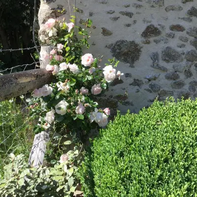 Jardin de l'établissement les epis du vent
