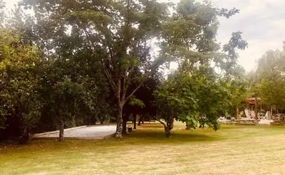 Jardin de l'établissement le gite des 3 saules