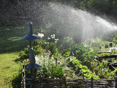 Jardin de l'établissement Le p'tit nid de Gabriel