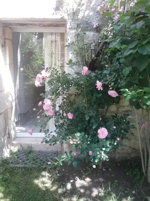 Jardin de l'établissement B&B Le verger