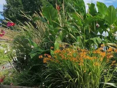 Jardin de l'établissement La Vieille Gorce Chambres d'Hôtes near Civray