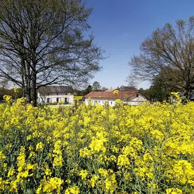 Jardin de l'établissement La Vieille Gorce Chambres d'Hôtes near Civray