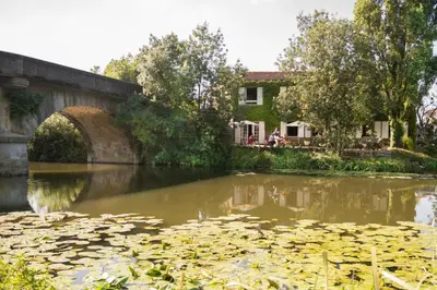 Vue sur la rivière ou le fleuve situé(e) à proximité de l'hôtel