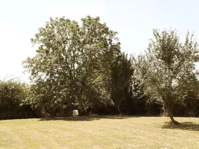 Jardin de l'établissement La Gauviniere