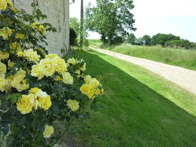 Jardin de l'établissement La Vieille Gorce Gîtes in the Vienne