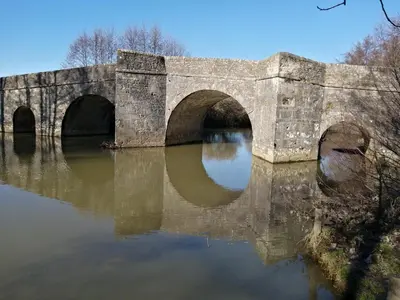 Vue sur la rivière ou le fleuve situé(e) à proximité de le B&B/chambre d'hôtes