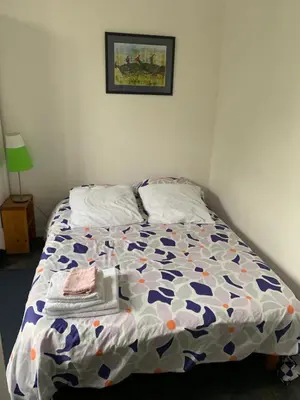 Un ou plusieurs lits dans un hébergement de l'établissement Appartement Les Acanthes 2ch Poitiers centre