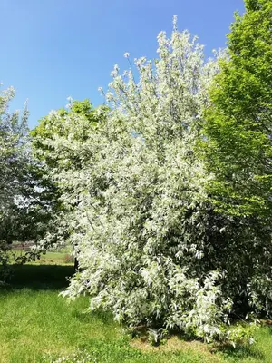 Jardin de l'établissement Gite Le Clos Constance