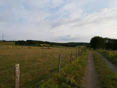 Paysage naturel près de la maison de vacances