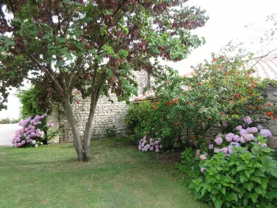 Jardin de l'établissement Chambres d'hôtes Les Tilleuls
