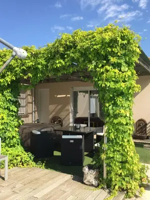 Jardin de l'établissement La Chambre des Amis