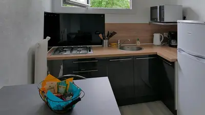 Cuisine ou kitchenette dans l'établissement 