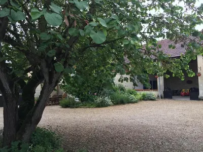 Jardin de l'établissement Les Vieilles Ombres