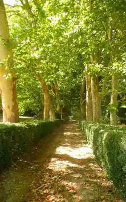 Jardin de l'établissement Eco Logis de Chantegrolle