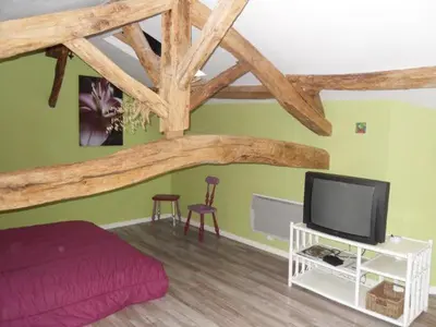 Télévision ou salle de divertissement dans l'établissement l eucalyptus