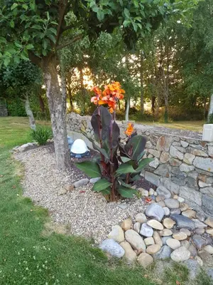 Jardin de l'établissement La Turlure