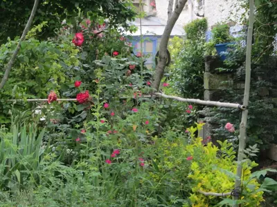 Jardin de l'établissement Chambres, Table d'Hôtes et Gites Les Mesanges